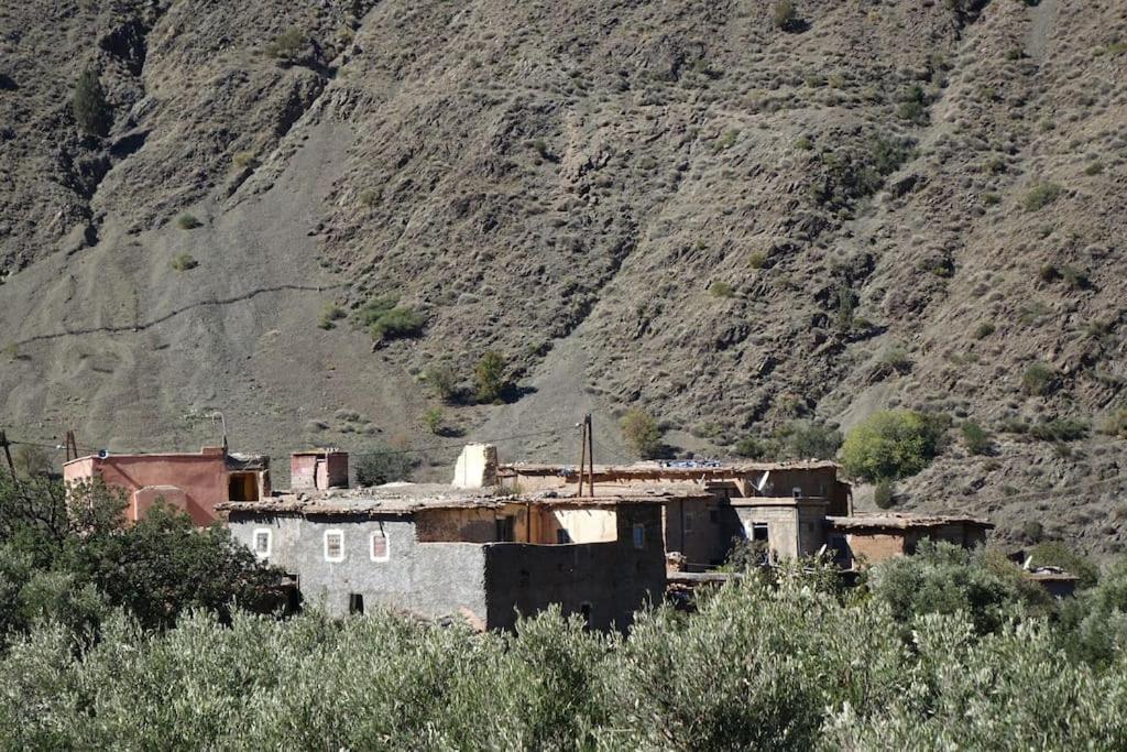 Ijoukak Berber Homestay Ijjoukak エクステリア 写真